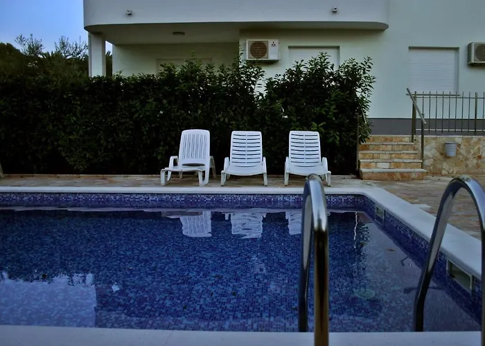 Paradise טרוגיר